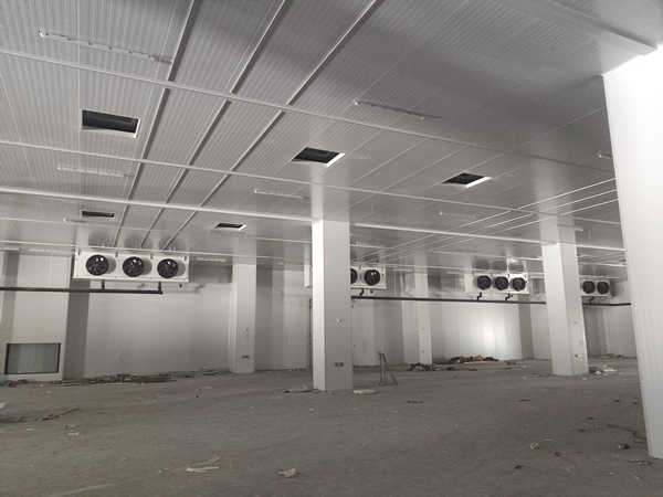 存200噸貨需要多大面積冷庫?造價多少?