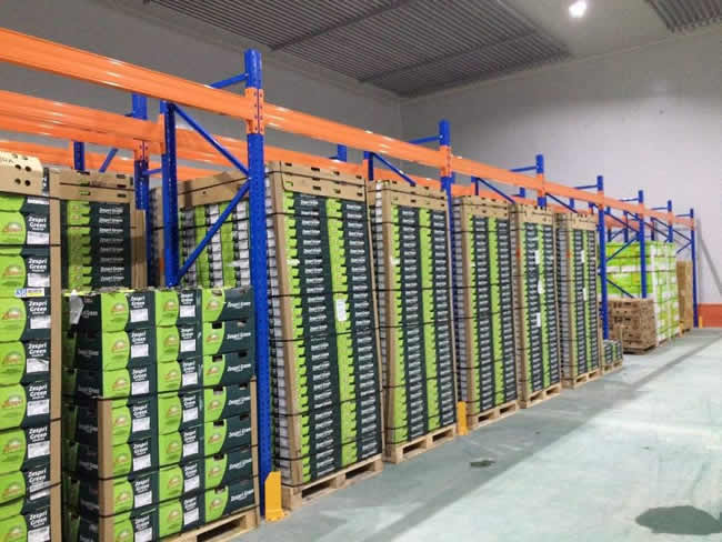 桃、李、杏水果儲(chǔ)存保鮮冷庫(kù)建造及造價(jià)