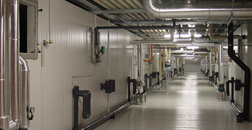 建設(shè)一個蔬菜氣調(diào)冷庫要多少錢？